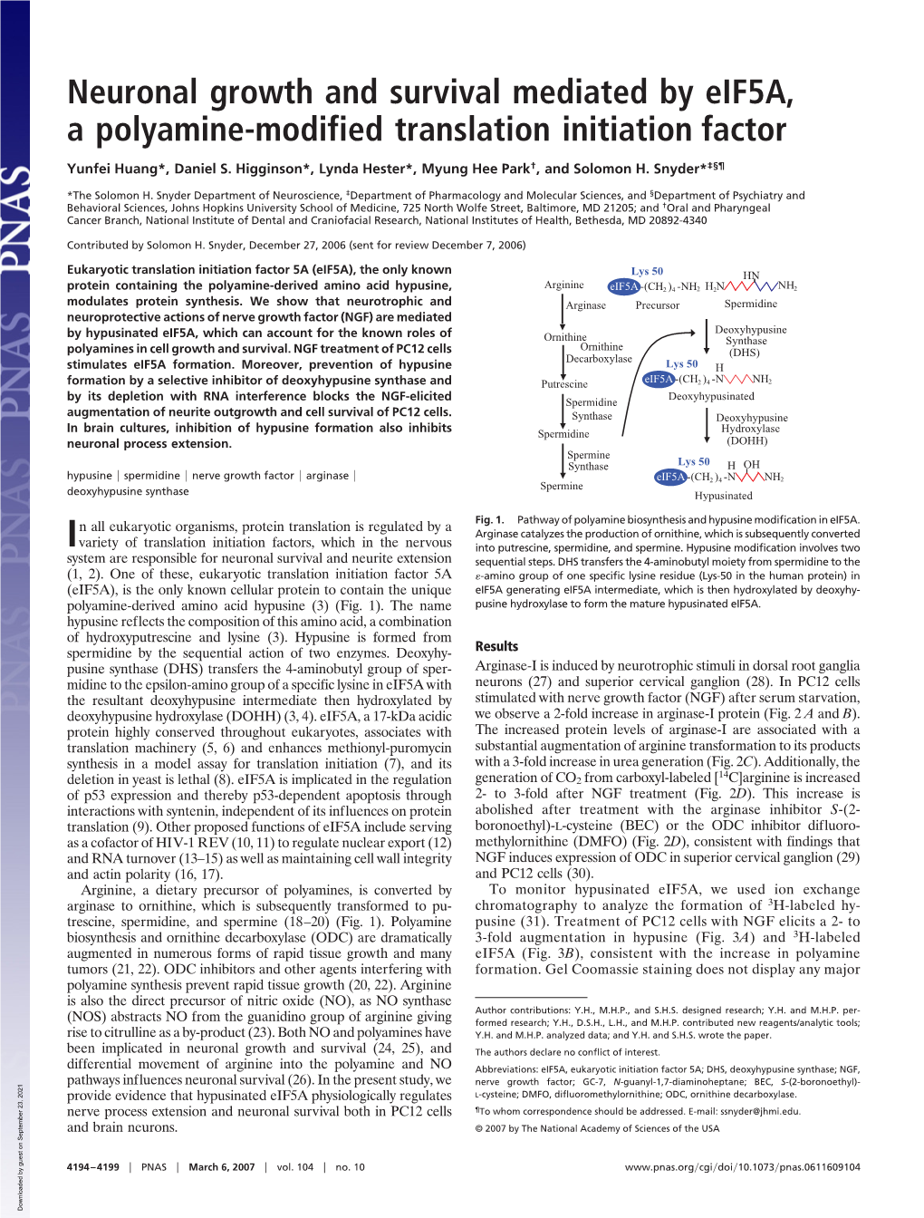 Neuronal Growth and Survival Mediated by Eif5a, a Polyamine-Modified Translation Initiation Factor