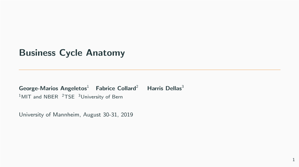 Business Cycle Anatomy