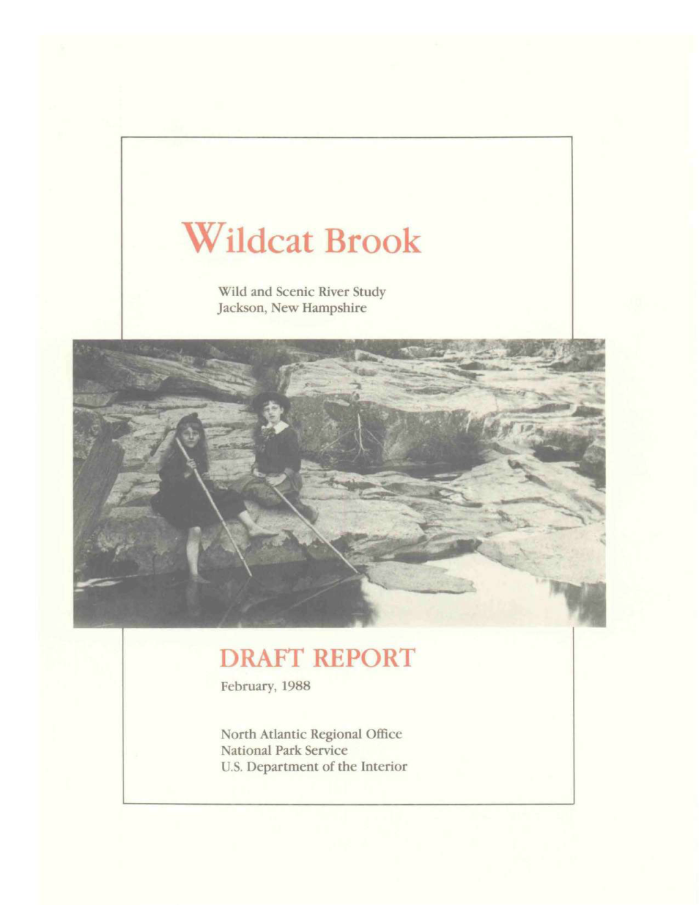 Wildcat Brook
