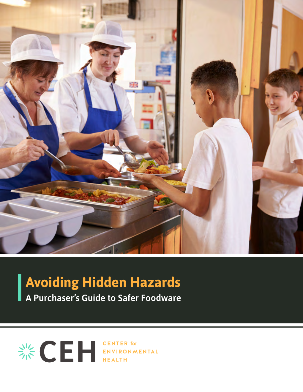 Avoiding Hidden Hazards a Purchaser’S Guide to Safer Foodware Acknowledgements