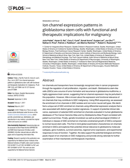 Ion Channel Expression Patterns in Glioblastoma Stem Cells with Functional and Therapeutic Implications for Malignancy