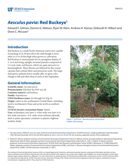 Aesculus Pavia: Red Buckeye1 Edward F