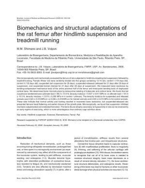 Biomechanics and Structural Adaptations of the Rat Femur After Hindlimb Suspension and Treadmill Running