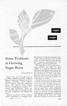 Some Problems in Growing Sugar Beets