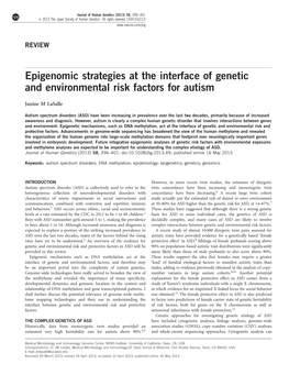 Epigenomic Strategies at the Interface of Genetic and Environmental Risk Factors for Autism