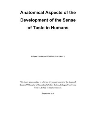 Anatomical Aspects of the Development of the Sense of Taste in Humans