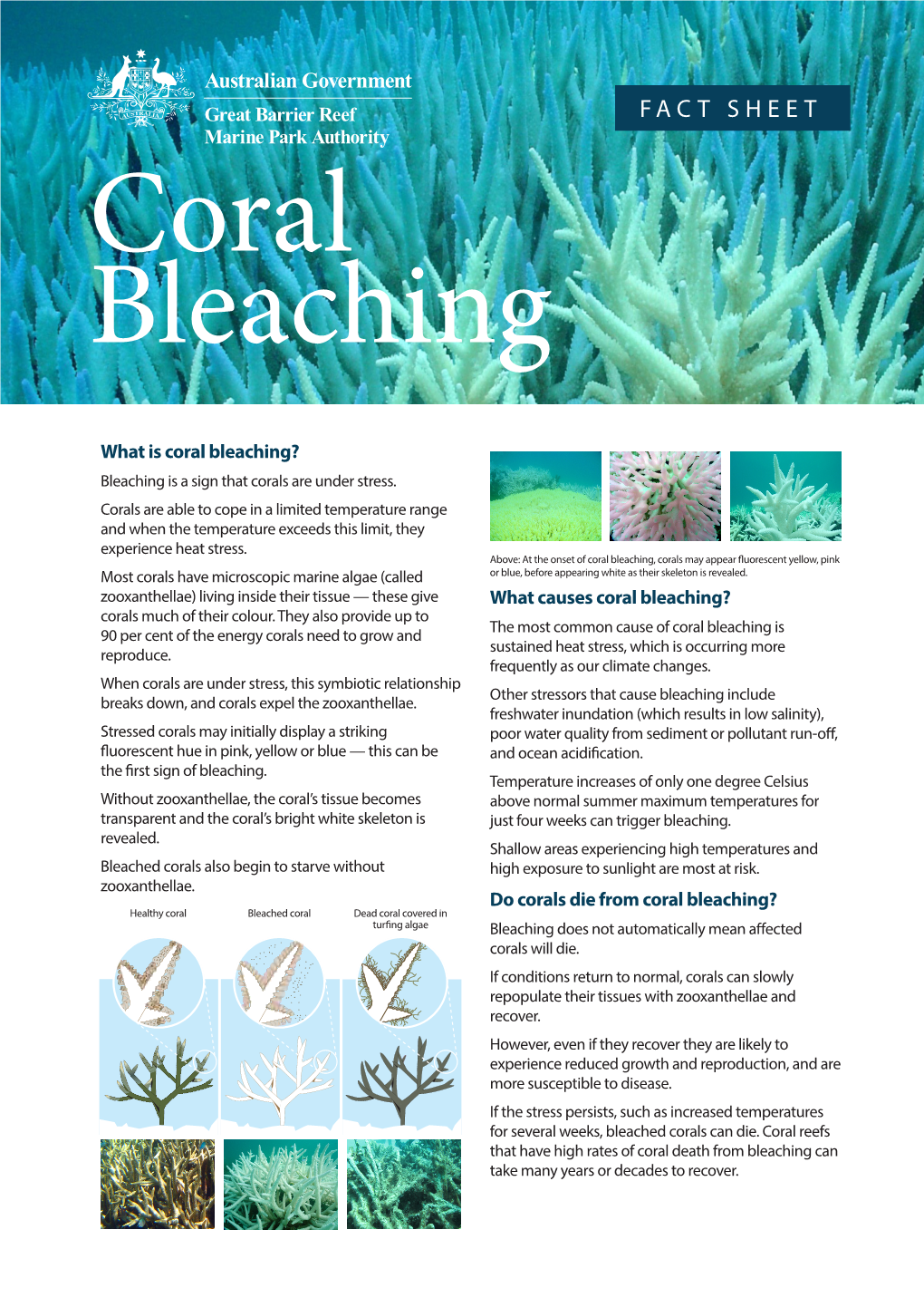 Coral-Bleaching-Fact-Sheet.Pdf
