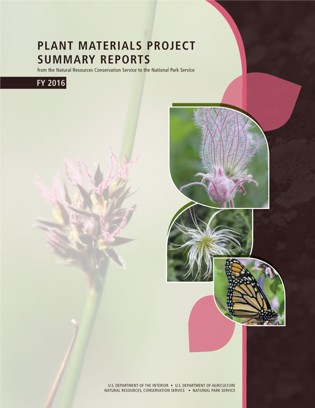 Native Plants for National Parks Plant Materials Project Summary Report