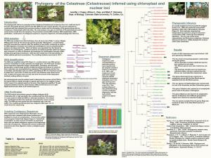 Phylogeny of the Celastreae (Celastraceae) Inferred Using Chloroplast And