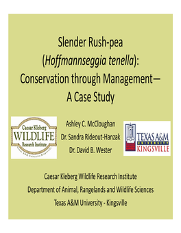 Slender Rush-Pea (Hoffmannseggia Tenella): Conservation Through
