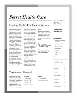 Ferret Health Care All Creatures an I M a L H O S P I T a L Leading Health Problems in Ferrets