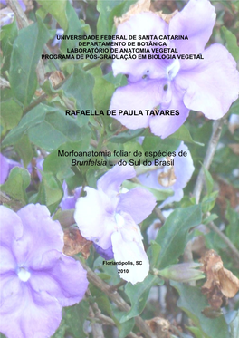 Brunfelsia L