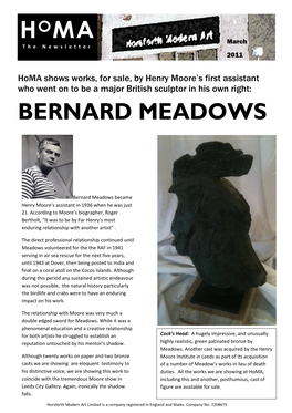 Bernard Meadows Homa