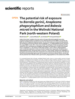 The Potential Risk of Exposure to Borrelia Garinii, Anaplasma