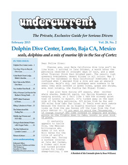 Dolphin Dive Center, Loreto, Baja CA, Mexico +