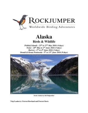 Alaska Birds & Wildlife