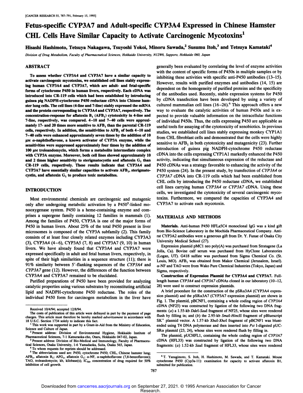 Fetus-Specific CYP3A7 and Adult-Specific CYP3A4 Expressed in Chinese Hamster CHL Cells Have Similar Capacity to Activate Carcinogenic Mycotoxins1