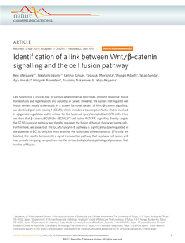 Identification of a Link Between Wnt/Β-Catenin Signalling and the Cell