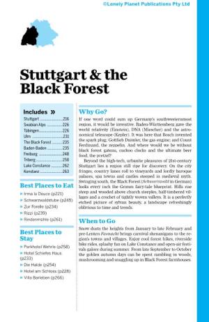 Stuttgart & the Black Forest