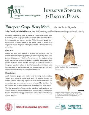 European Grape Berry Moth Eupoecilia Ambiguella Juliet Carroll and Nicole Mattoon, New York State Integrated Pest Management Program, Cornell University