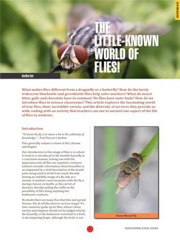 THE LITTLE-KNOWN WORLD of FLIES! Geetha Iyer