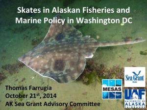 Skates in Alaskan Fisheries and Marine Policy in Washington DC
