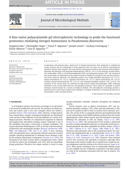 A Blue Native Polyacrylamide Gel Electrophoretic Technology to Probe the Functional Proteomics Mediating Nitrogen Homeostasis in Pseudomonas ﬂuorescens