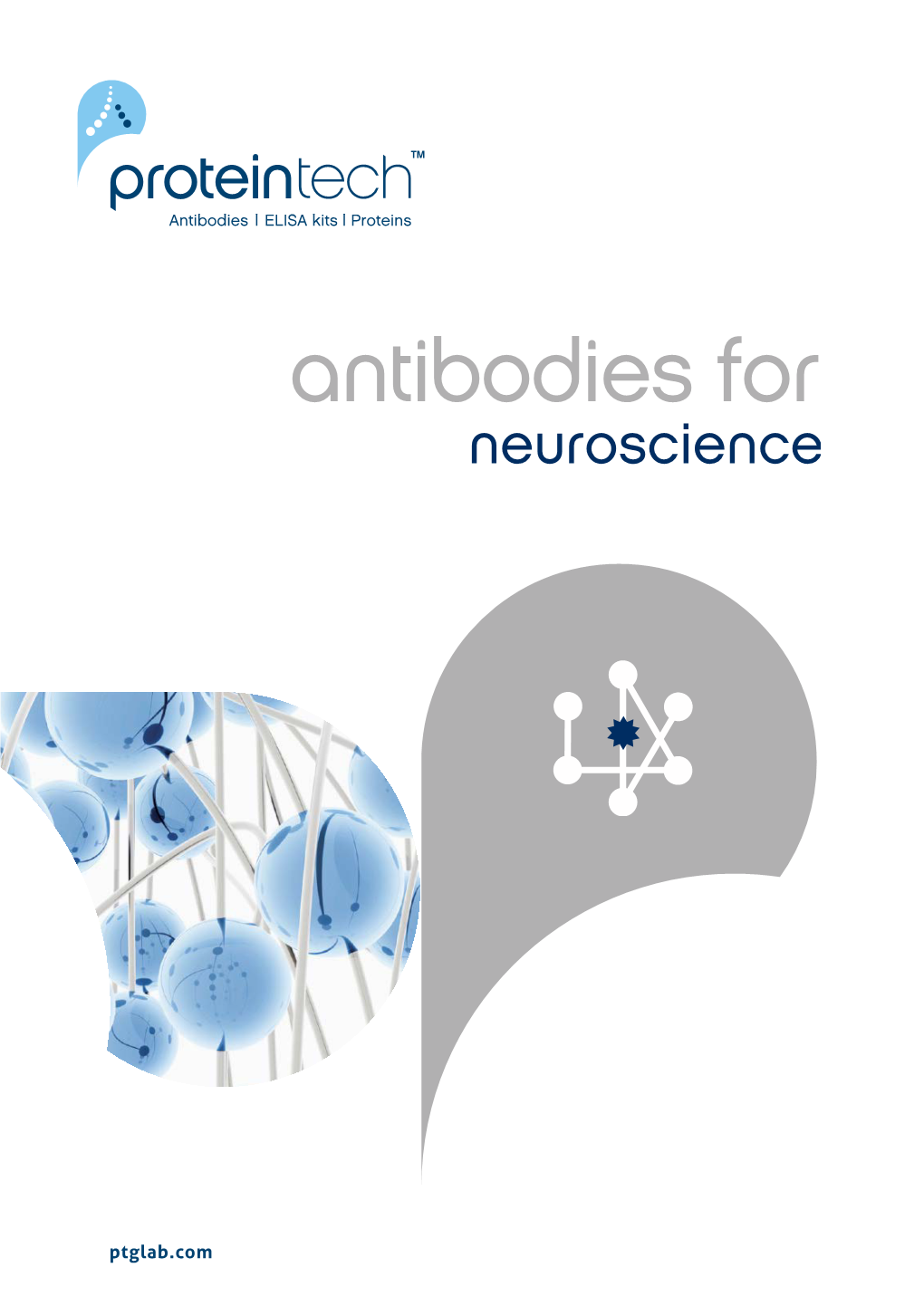 Antibodieseses F F Orforor Neuroscience Neurneoscieuroscienncece