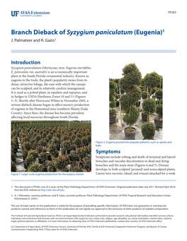 Branch Dieback of Syzygium Paniculatum (Eugenia)1 J