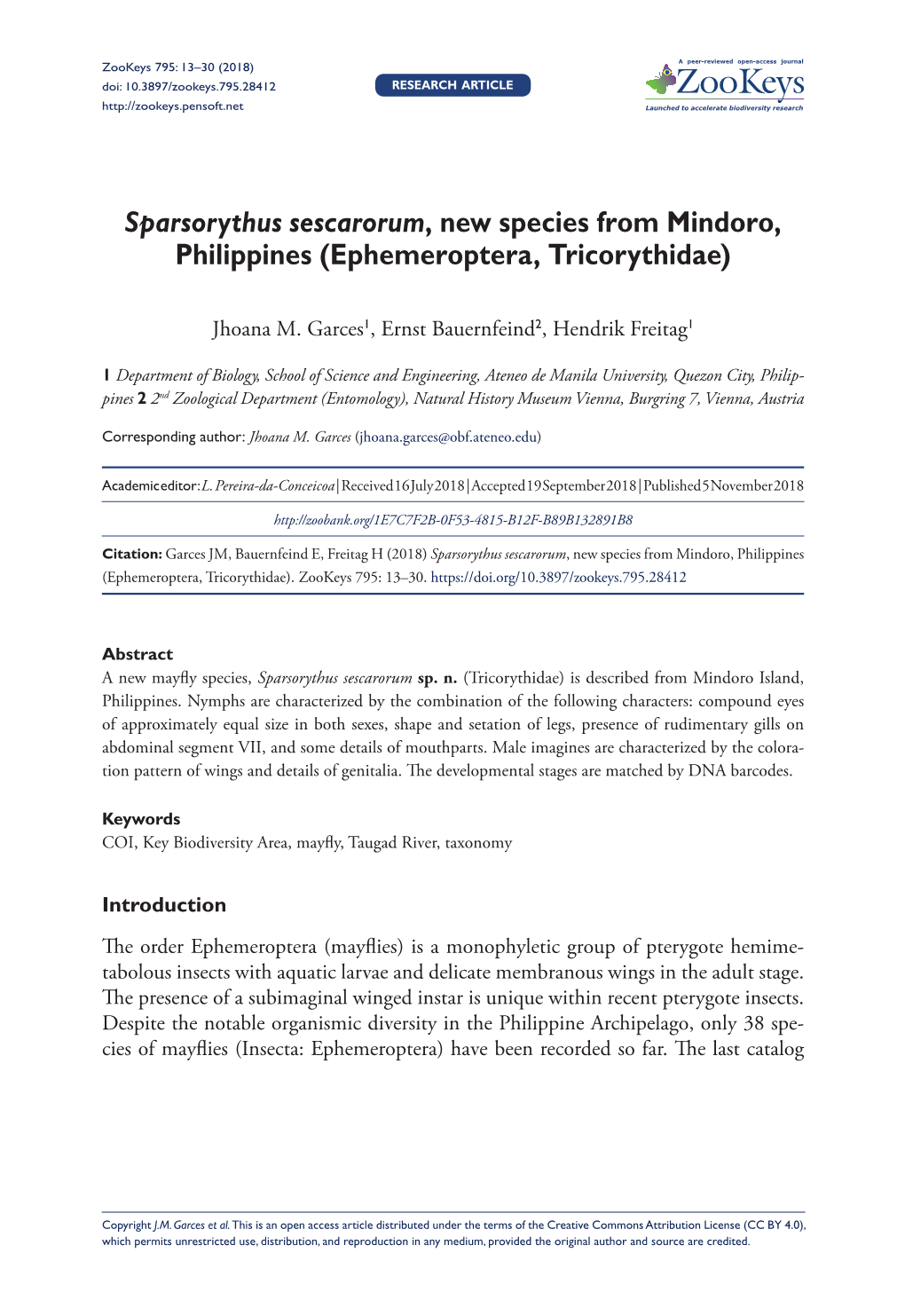 ﻿Sparsorythus Sescarorum, New Species from Mindoro, Philippines