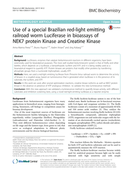 Use of a Special Brazilian Red-Light Emitting Railroad Worm Luciferase In