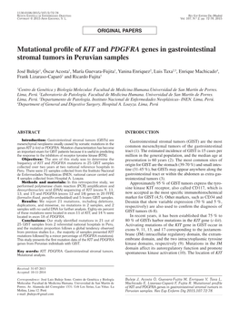 Mutational Profile of KIT and PDGFRA Genes in Gastrointestinal Stromal Tumors in Peruvian Samples