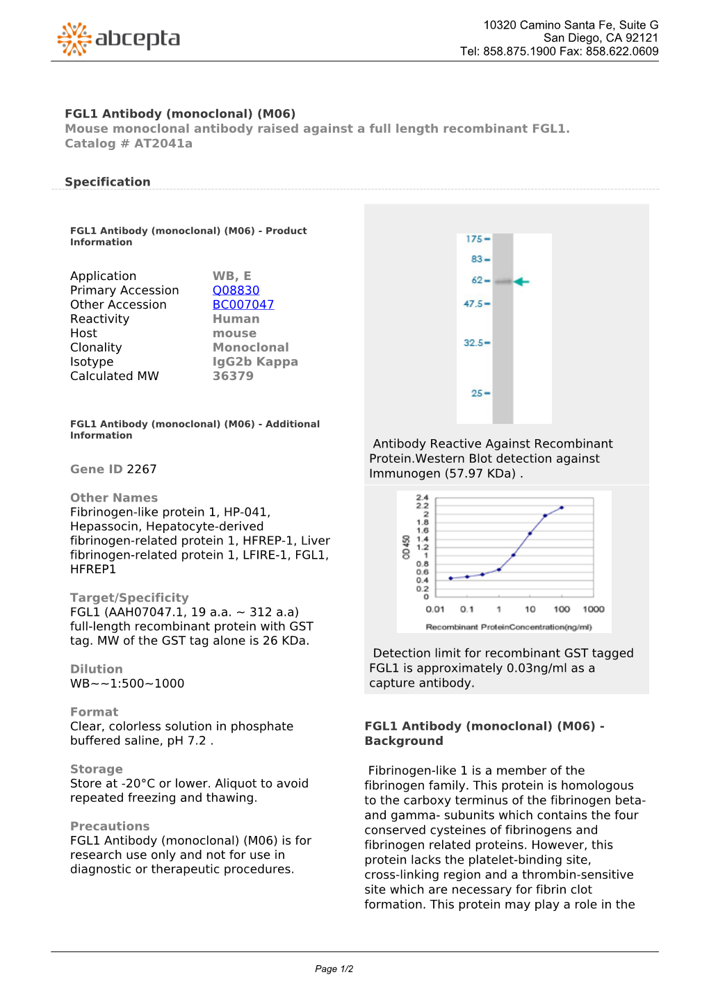 FGL1 Antibody (Monoclonal) (M06) Mouse Monoclonal Antibody Raised Against a Full Length Recombinant FGL1