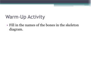 Skeletal System? Skeletal System Chapters 6 & 7 Skeletal System = Bones, Joints, Cartilages, Ligaments