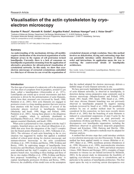 Visualisation of the Actin Cytoskeleton by Cryo- Electron Microscopy