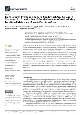 Plant-Growth-Promoting Bacteria Can Impact Zinc Uptake in Zea Mays: an Examination of the Mechanisms of Action Using Functional Mutants of Azospirillum Brasilense