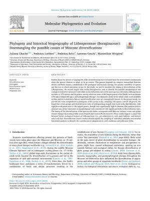 Phylogeny and Historical Biogeography of Lithospermeae