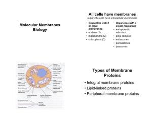 Types of Membrane Proteins