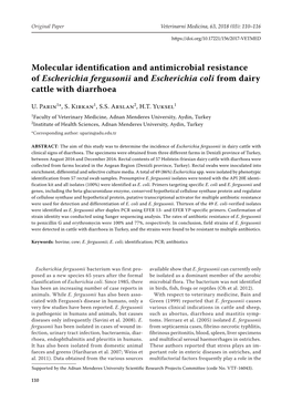 Molecular Identification and Antimicrobial Resistance of Escherichia Fergusonii and Escherichia Coli from Dairy Cattle with Diarrhoea