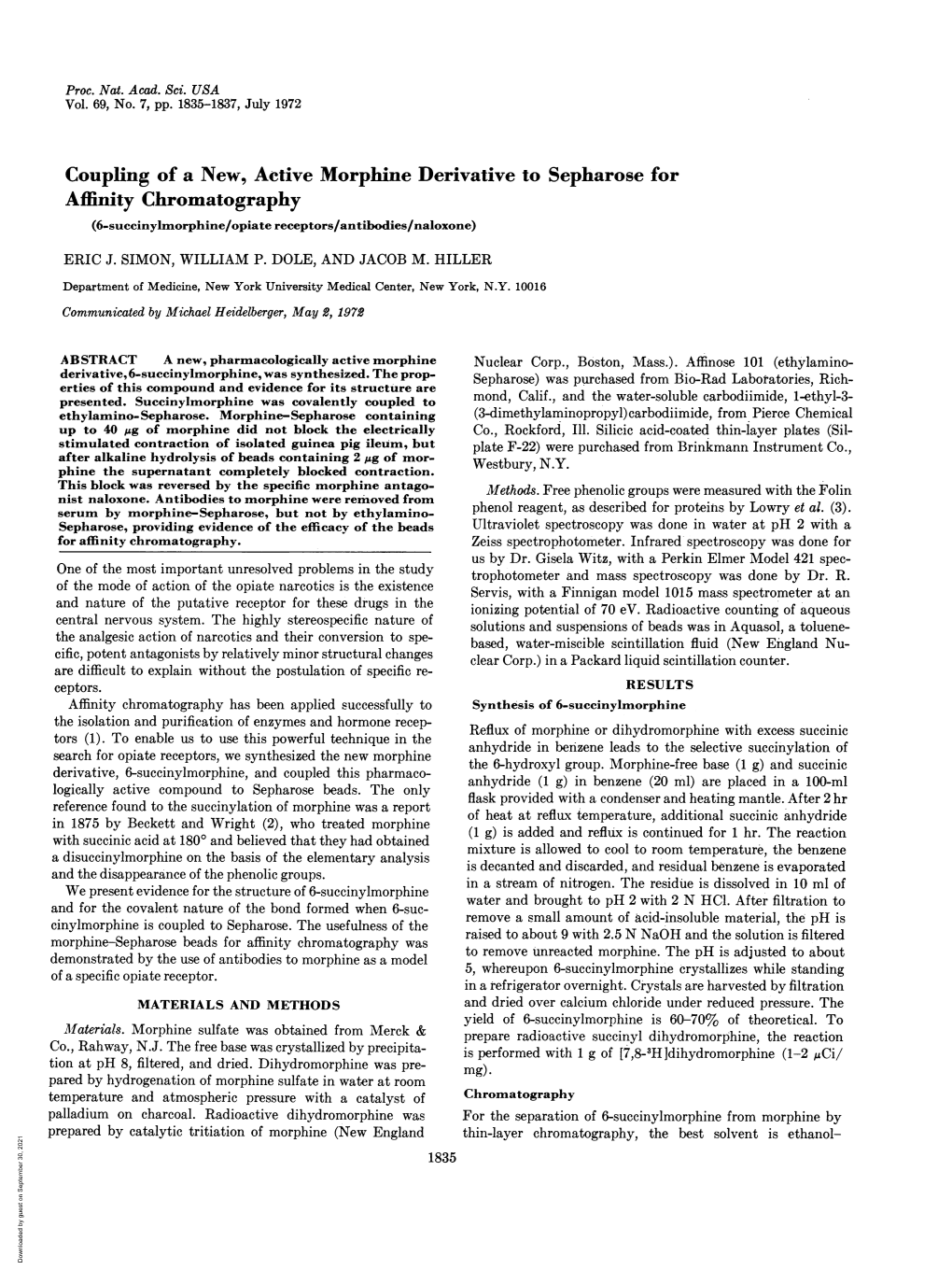 Coupling of a New, Active Morphine Derivative to Sepharose for Affinity Chromatography (6-Succinylmorphine/Opiate Receptors/Antibodies/Naloxone) ERIC J