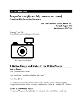 Pangasius Kremfi (A Catfish, No Common Name) Ecological Risk Screening Summary