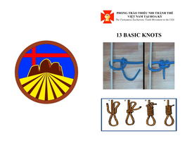 13 Basic Knots