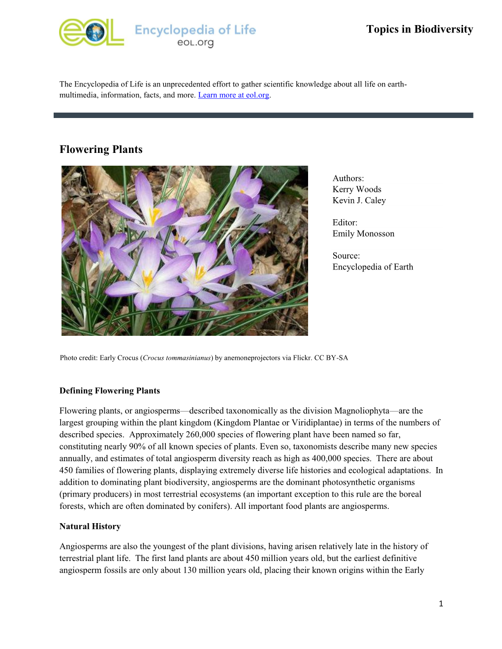 Flowering Plants Topics in Biodiversity