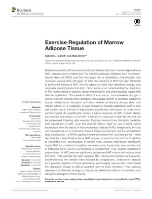 Exercise Regulation of Marrow Adipose Tissue