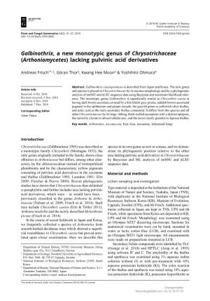 Galbinothrix, a New Monotypic Genus of Chrysotrichaceae (Arthoniomycetes) Lacking Pulvinic Acid Derivatives