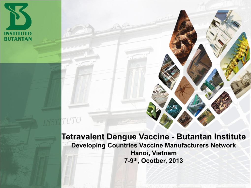 Tetravalent Dengue Vaccine