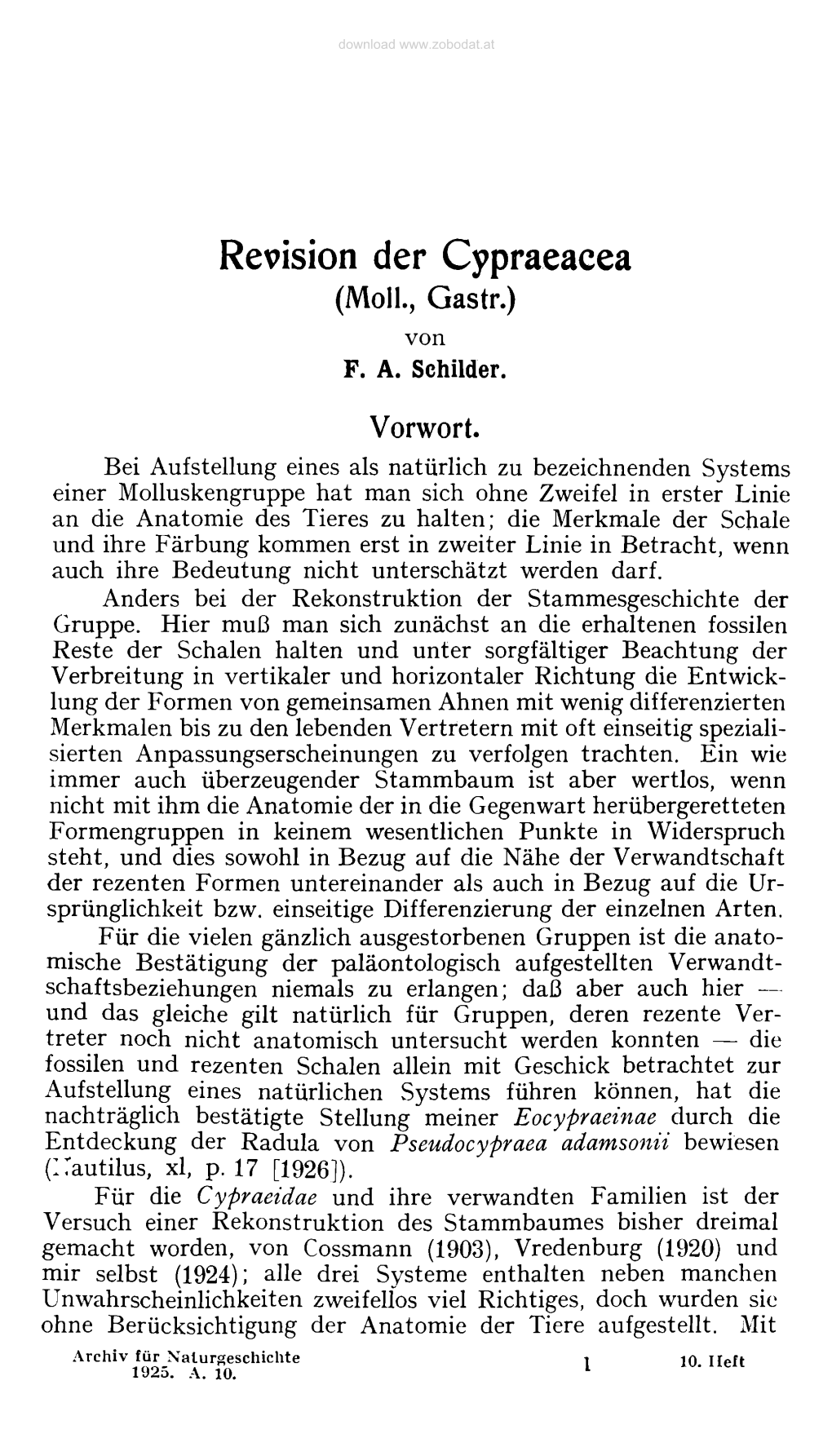 Revision Der Cypraeacea (Moll., Gastr.) Von F