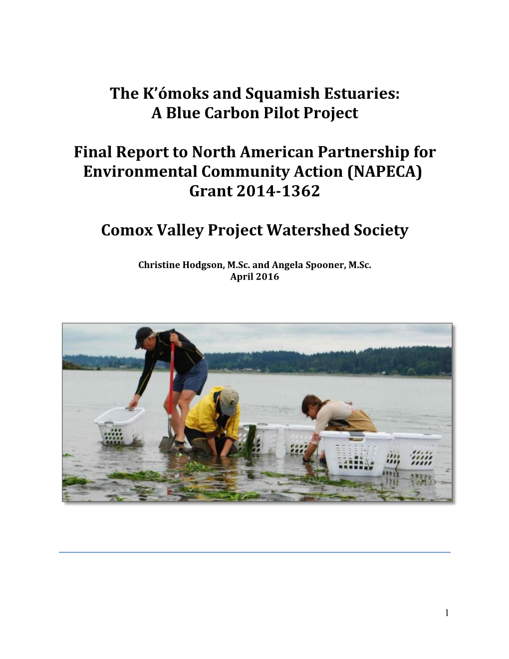 The K'ómoks and Squamish Estuaries: a Blue Carbon Pilot Project Final Report to North American Partnership for Environmenta
