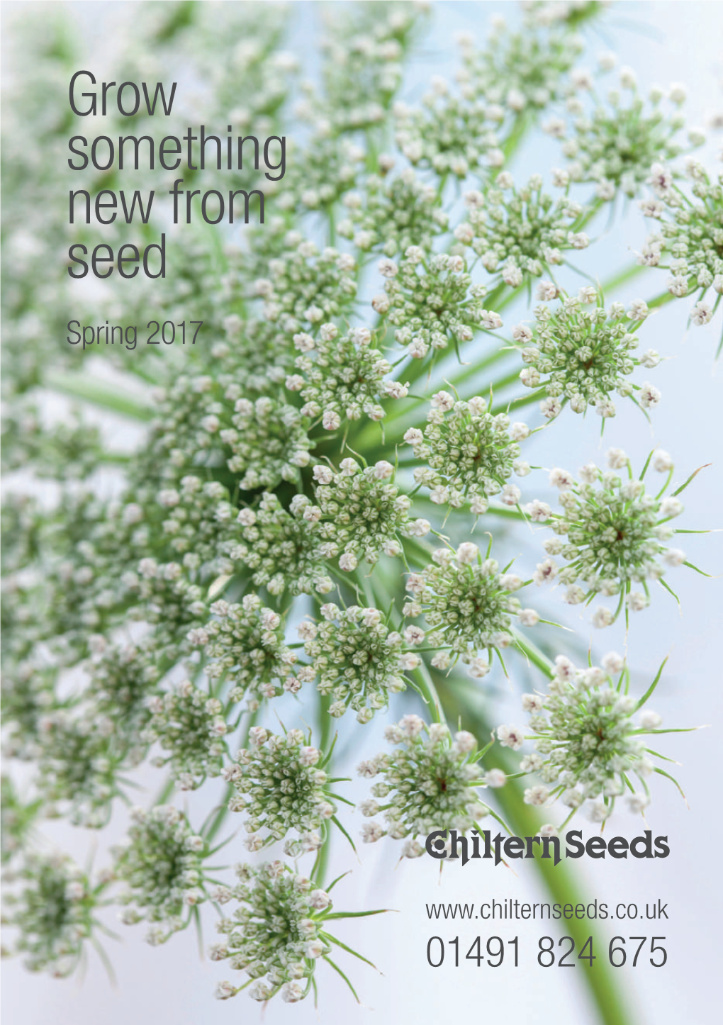 Grow Something New from Seed Spring 2017