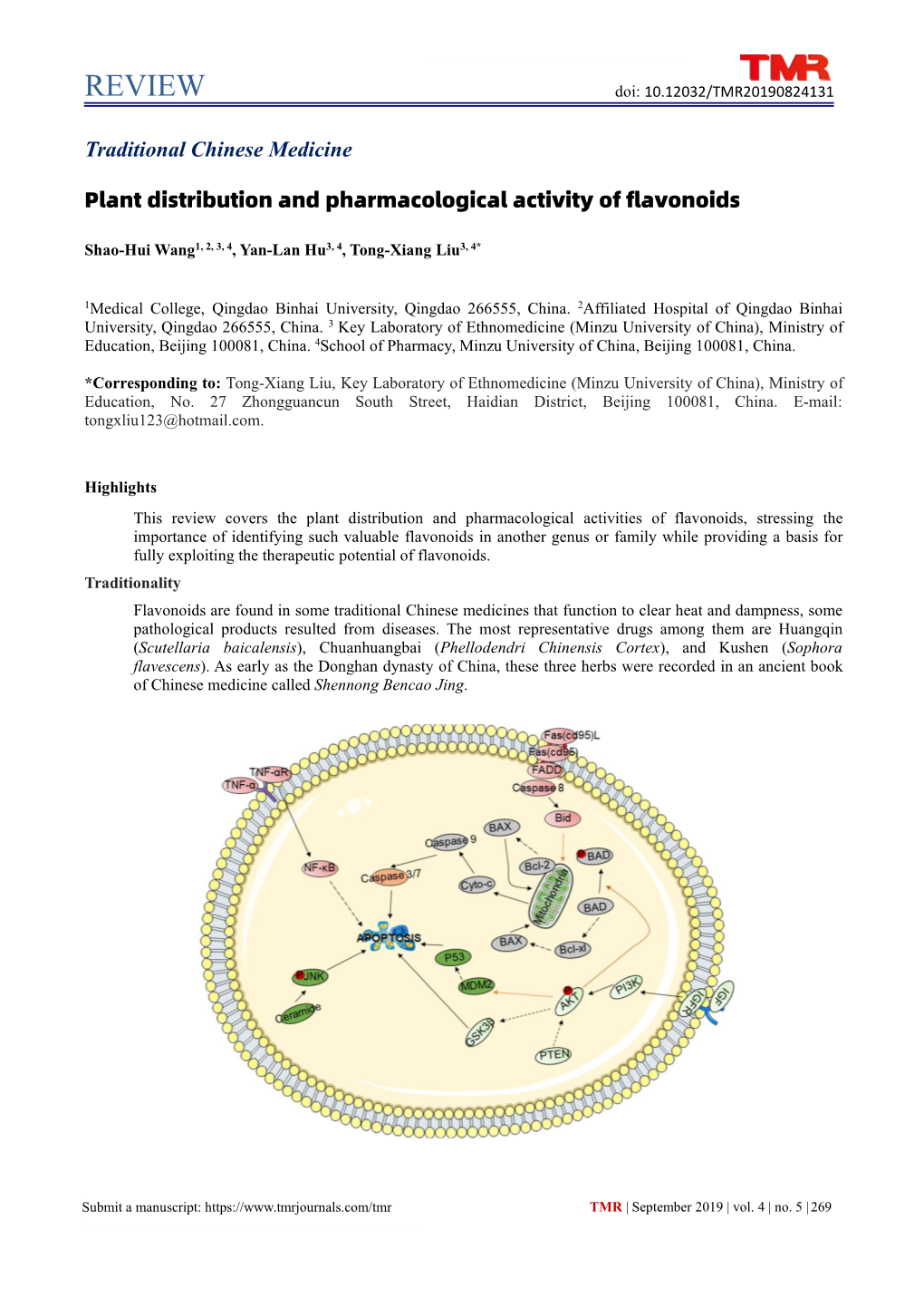 REVIEW Doi: 10.12032/TMR20190824131